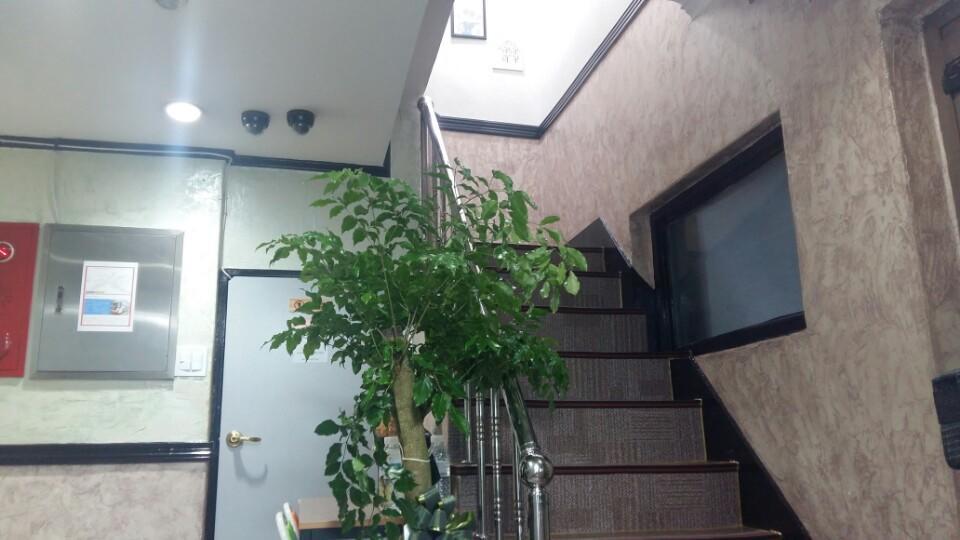 Kimstay Seoul Exterior photo